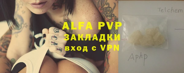 прущие грибы Балахна