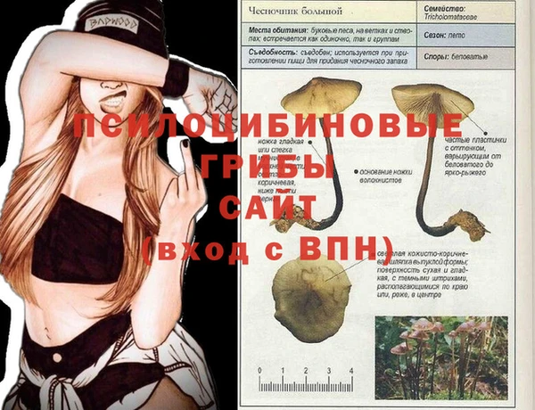 прущие грибы Балахна