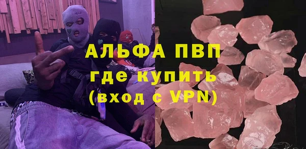 прущие грибы Балахна