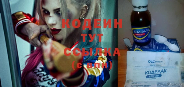 прущие грибы Балахна