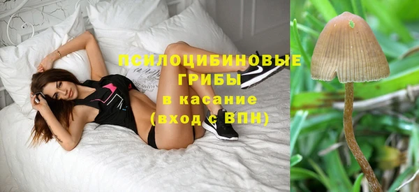 прущие грибы Балахна