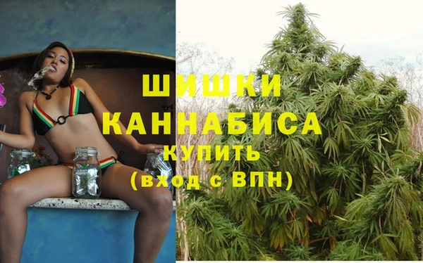 сатива Протвино