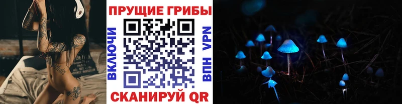 дарнет шоп  Пестово  Псилоцибиновые грибы Cubensis 